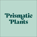 Prismatic Plants Coupon Code